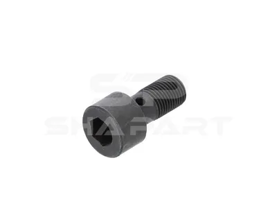 1.10901 Hollow screw