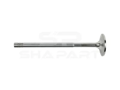 1.10903 Intake valve, D1: 10 mm, D2: 44 mm, L: 171.3 mm, α: 20 °