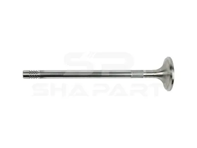 1.10948 Exhaust valve, D1: 10 mm, D2: 41 mm, L: 171.5 mm, α: 45 °