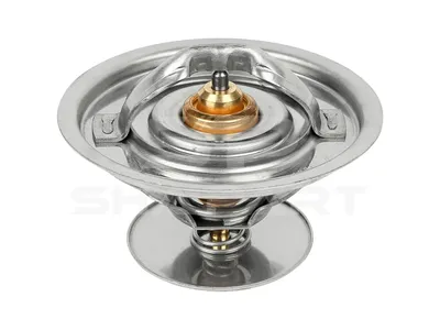 1.11204 Thermostat, 79 °C