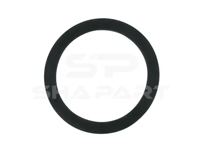 1.11392 Gasket, cap