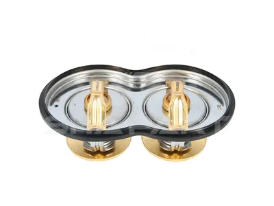 1.11404 Thermostat, with gasket, 96 °C, 89 °C