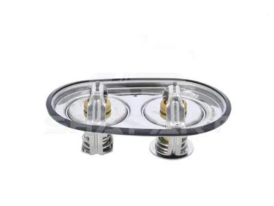 1.11407 Thermostat, 89 °C, 96 °C