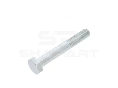 1.13130 Screw, M10, L: 70 mm, 8.8