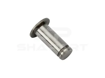1.14078 Bearing bolt