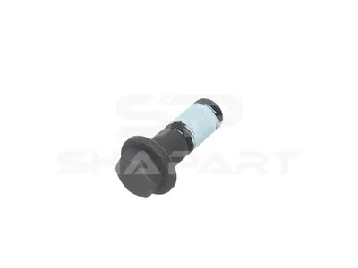 1.14691 Screw