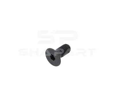 1.14697 Screw