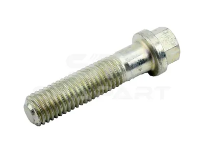 1.15220 Screw, M12 x 1,75, SW: 13, L: 50 mm, 10.9