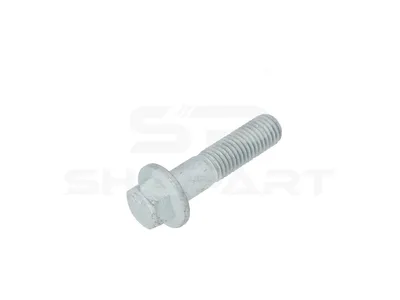 1.15224 Screw