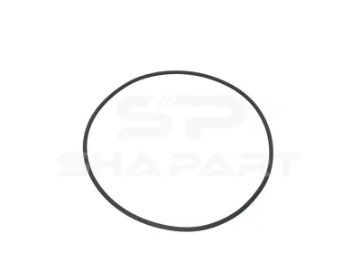 1.16229 O-ring, d: 256 mm, S: 5.6 mm