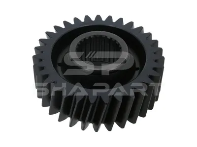 1.16608 Gear, 31 teeth