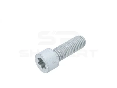 1.16659 Screw