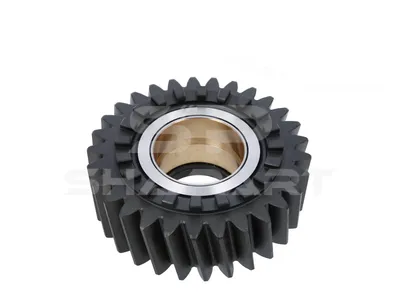 1.16685 Axle shaft gear