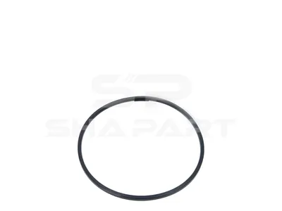 1.17093 Seal ring, new version, d: 162 mm, D: 171.6 mm, S: 5.8 mm