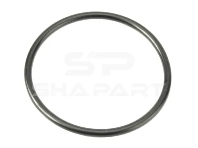 1.17100 O-ring, d: 100 mm, S: 6.5 mm