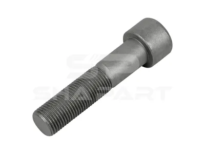 1.18940 Screw, M16 x 1,5, L: 70 mm, 10.9