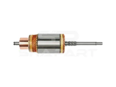 1.21315 Armature, 24 V