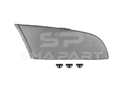 1.23178 Radiator mesh, right