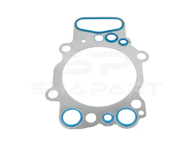 1.24051 Cylinder head gasket