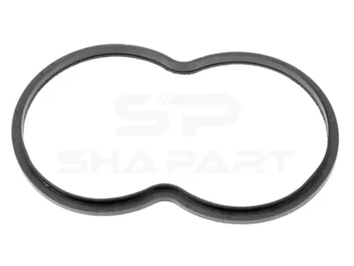 1.24111 Thermostat gasket