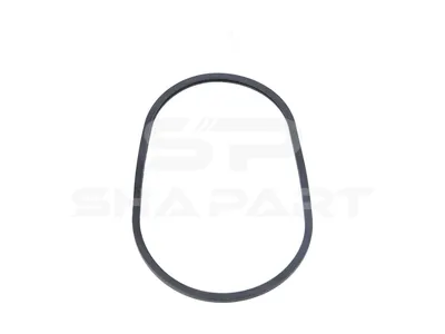 1.24154 Thermostat gasket