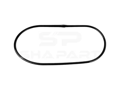 1.24155 Thermostat gasket