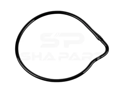 1.24172 Gasket