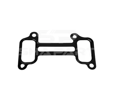 1.24202 Gasket, intake manifold