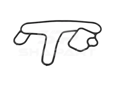 1.24214 Gasket, water pump