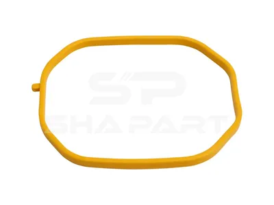 1.24256 Gasket, intake manifold