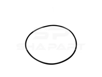 1.24312 O-ring, d: 100 mm, S: 3 mm