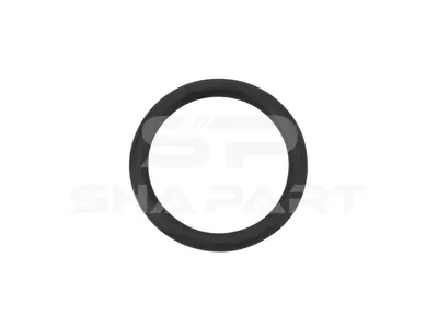 1.24319 O-ring, d: 16.3 mm, S: 2.4 mm