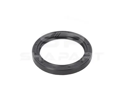 1.24419 Oil seal