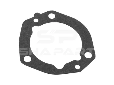 1.24429 Gasket, differential lock
