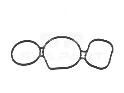 1.24436 Gasket, water pump