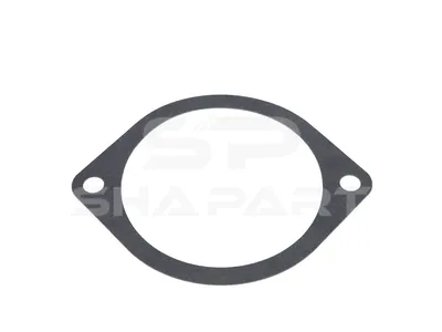 1.24900 Gasket, servo pump