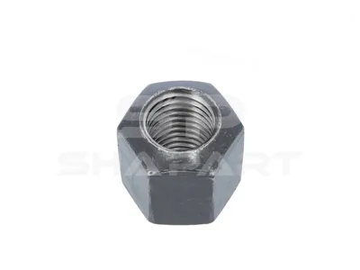 1.25430 Nut, M20 x 2,5, 10