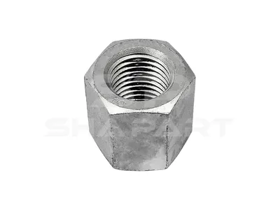 1.25431 Nut, M22 x 2,5, SW: 32