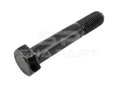 1.25703 Screw, M20 x 2,5, SW: 30, L: 112 mm