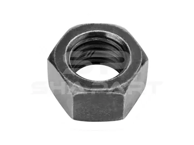 1.25723 Nut, M20 x 2,5, 8