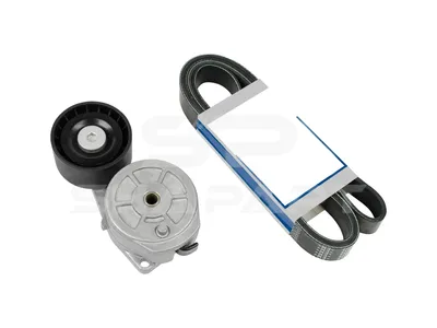 1.31176 Belt tensioner, complete, with multiribbed belt, 8 PK, L: 2015 mm