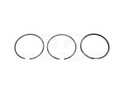 1.31881 Piston ring kit, D: 75.5 mm