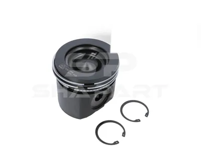 1.33067 Piston, complete with rings