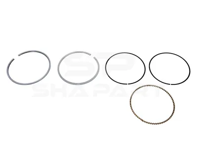 1.33136 Piston ring kit