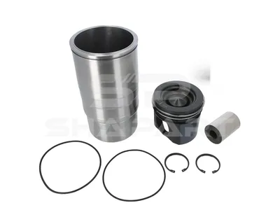 1.33165 Piston with liner