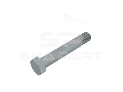 1.40023 Screw