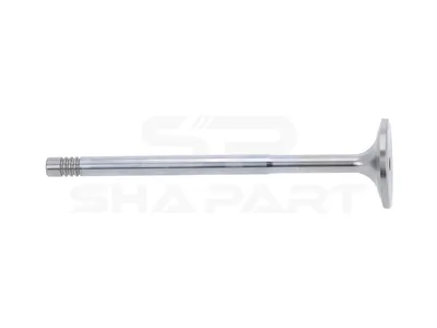1.40175 Intake valve