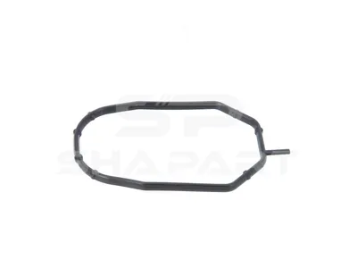 1.40201 Gasket, intake manifold