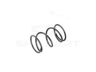 1.44301 Pressure spring