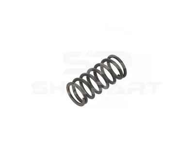1.44302 Pressure spring